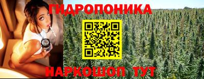 бошки Гусь-Хрустальный